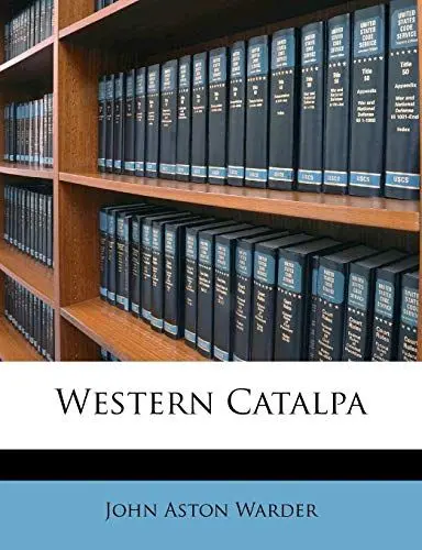 Produktbild: Western Catalpa