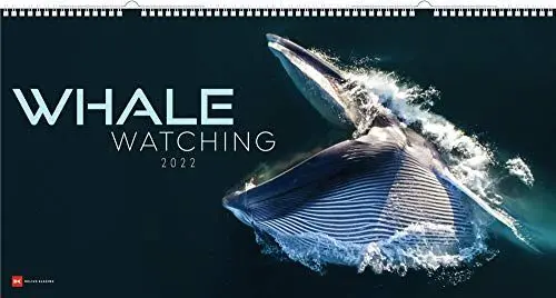 Produktbild: Whale Watching 2022