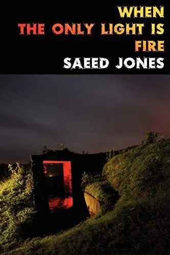 Produktbild: When the Only Light Is Fire