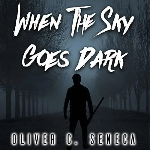 Produktbild: When the Sky Goes Dark