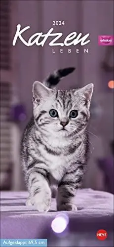 Produktbild: Whiskas Katzenleben Kalender 2024. Süße Kätzchen in allen Lebenslagen in einem Wandkalender 2024 zum Eintragen. Immer den Überblick über alle Termine mit dem praktischen Streifenkalender.