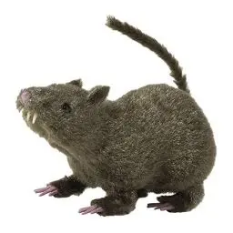 Produktbild: Widmann 7795U - Deko Ratte, circa 21 cm, Dekoration, Halloween, Mottoparty