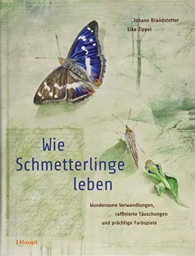 Produktbild: Wie Schmetterlinge leben: Wundersame Verwandlungen, raffinierte Täuschungen und prächtige Farbspiele