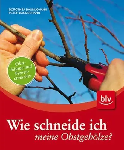 Produktbild: Wie schneide ich meine Obstgehölze?: Obstbäume und Beerensträucher