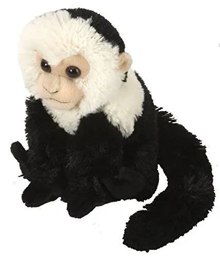 Produktbild: Wild Republic 11576 Plüsch Kapuziner Affe Cuddlekins Kuscheltier, Plüschtier, 20cm