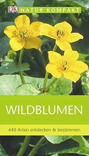 Produktbild: Wildblumen: 440 Arten entdecken und bestimmen: 440 Arten entdecken & bestimmen (Natur kompakt)