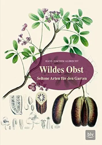 Produktbild: Wildes Obst: Seltene Arten für den Garten (BLV Selbstversorgung)