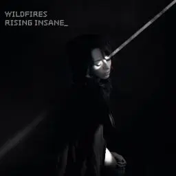 Produktbild: Wildfires