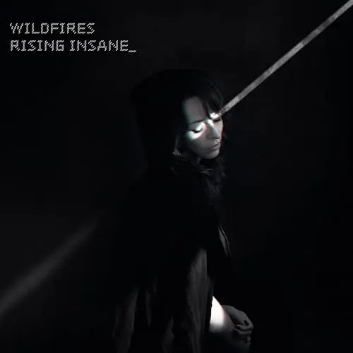 Produktbild: Wildfires