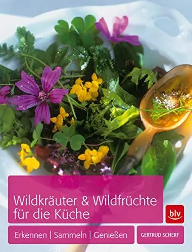 Produktbild: Wildkräuter & Wildfrüchte für die Küche: Erkennen - Sammeln - Genießen