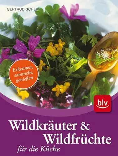 Produktbild: Wildkräuter & Wildfrüchte für die Küche: Erkennen, sammeln, genießen