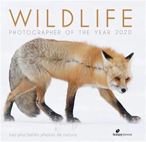 Produktbild: Wildlife photographer of the year 2020: Les plus belles photos de nature