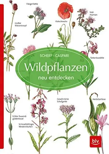 Produktbild: Wildpflanzen neu entdecken (BLV Naturführer)