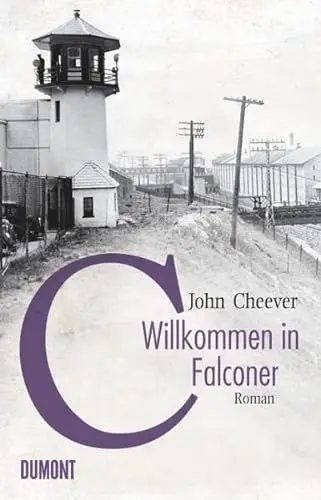 Produktbild: Willkommen in Falconer: Roman