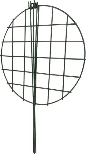 Produktbild: Windhager Blumen Stützgitter, DM:35x60cm,grün