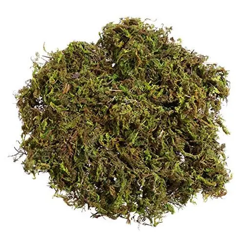 Produktbild: WINOMO Künstliches Moos, künstliches, frisches grünes Moos, dekoratives Kunstmoos für Blumen, Pflanzen, Garten, Rasen, Basteln, Dekoration, 60 g/Packung
