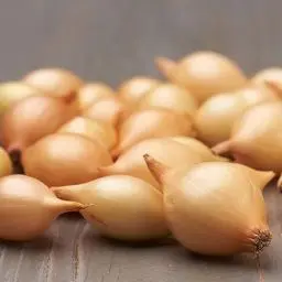 Produktbild: Wintersteckzwiebeln Senshyu Yellow (500 gr) - Winter Steckzwiebeln Winterhart - Hoher Qualität aus Holland (kein Samen) - Mild scharfe Gemüsezwiebel - Steckzwiebel größe 14-21 mm