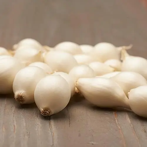 Produktbild: Steckzwiebeln Snowball (500 gr) - Frühlingszwiebeln Winterhart - Hoher Qualität aus Holland (kein Samen) - Mild scharfe Gemüsezwiebel - Steckzwiebel größe 14-21 mm