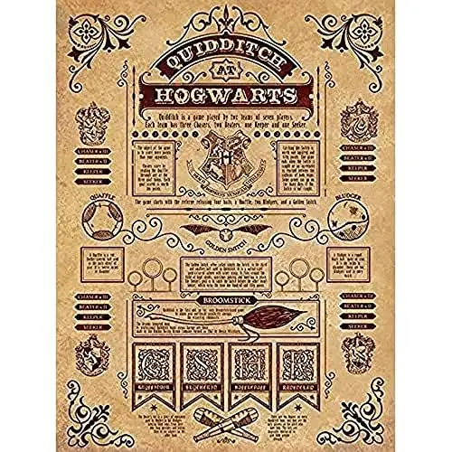 Produktbild: Wizarding World Harry Potter Quidditch at Hogwarts, 60 x 80 cm, Leinwanddruck, Mehrfarbig
