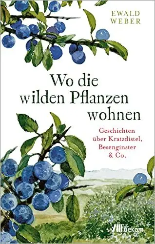 Produktbild: Wo die wilden Pflanzen wohnen: Geschichten über Kratzdistel, Besenginster & Co. Verborgenen Schätze einheimischer Wildpflanzen, ihre Überlebensstrategien und Bedeutung für die Natur