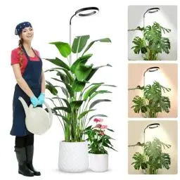 Produktbild: wolezek Pflanzenlampe LED Vollspektrum, 80 LEDs 6500K Grow Light, 160cm Großes Grow Lampe, 3 Farben Pflanzenlicht mit 360° Schwanenhals, 6/12/16H Timer, 5 Helligkeit, Höhenverstellbar, Schwarz