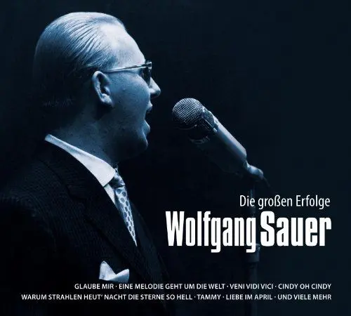 Produktbild: Wolfgang Sauer: Die großen Erfolge