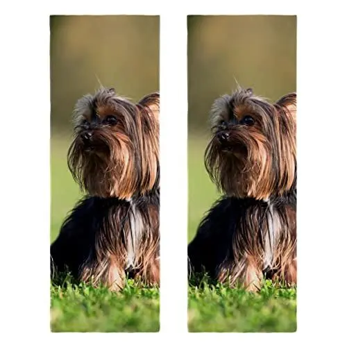 Produktbild: WOSHJIUK Schnelltrocknendes Mikrofaser-Turnhandtuch,2er-Pack,Grasland-Yorkshire-Terrierhund,Handtuch-Trainingshandtücher