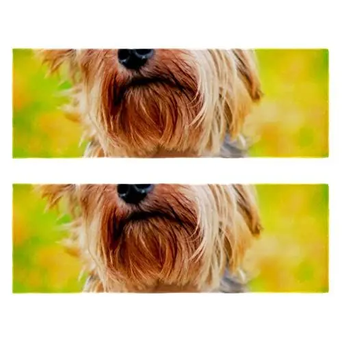 Produktbild: WOSHJIUK Schnelltrocknendes Mikrofaser-Turnhandtuch,2er-Pack,Yorkshire-Terrier-Herbst-Hund,Handtuch-Trainingshandtücher