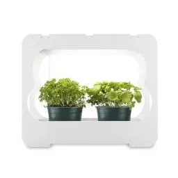Produktbild: Xavax LED Smart Garden Home Gewächshaus Box klein mit Lampe für Balkon, als Anzuchtkasten für Hochbeet oder Outdoor Garten Pflanzen, Mini Gewächshaus mit Wachstumslampen für Pflanzen 3 Töpfe Ø 10 cm