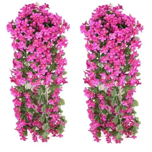 Produktbild: XUEHOU 2 Stück Künstliche Hängepflanzen Kunstblumen Hängend Künstlich Hängende Blumen Veilchen Dekoblumen Künstlich Plastik Efeu Kunstblumen Wie Echt Lila Rot für Balkon Blumengirlande Deko