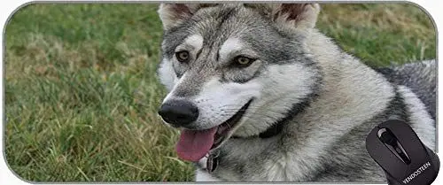 Produktbild: XXL Gaming Mouse Mat Extended, Pelziges Mauspad Wolf Wolf Animal Animal Hunter mit genähten Kanten