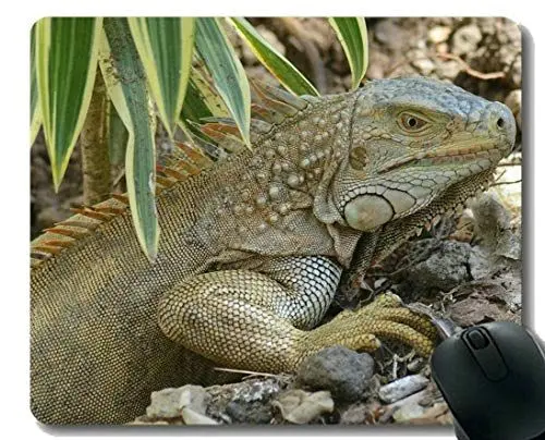 Produktbild: YENDOSTEEN Gaming-Mauspad, Dinosaurier-Leguan-Mauspad mit genähtem Rand