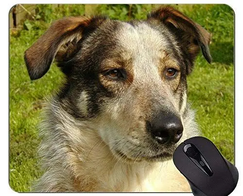 Produktbild: YENDOSTEEN Mauspads - Schäferhund-Hundeschutzbrillen-Militärarbeiten, Hundebüro-Mausunterlage