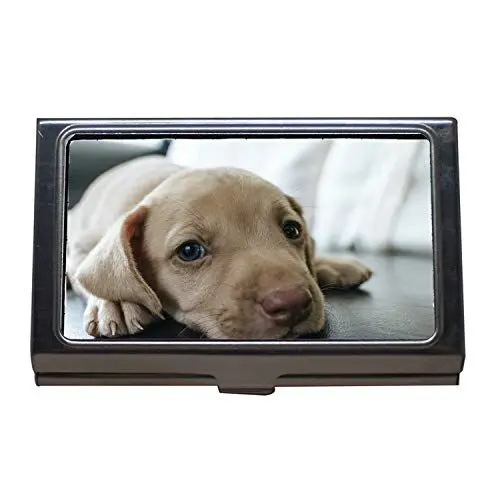 Produktbild: Yanteng Visitenkartenetui Brieftasche Kreditkarte ID Case, Hundewelpe Blue Eyes Blue Eye Pet Look niedlich, Visitenkartenetui Edelstahl
