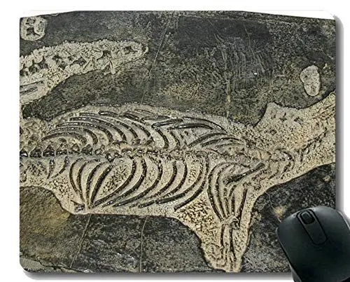 Produktbild: Rutschfeste Gummi Gaming Mausunterlage, Giant Dinosaur Fossil Mausunterlage mit genähtem Rand