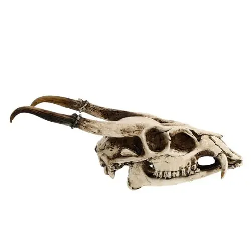 Produktbild: Yardenfun 1stk Ziege-schädel-verzierung Natürliche Wohnkultur Gefälschtes Schädelmodell Geweih-schädel-wanddekoration Halloween-tierknochen Wandbehang Schafschädel Kopf Formen Harz Künstlich