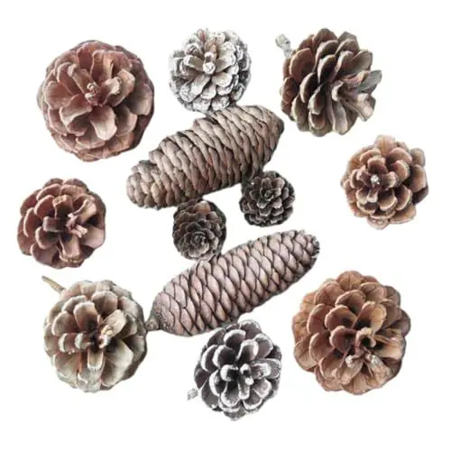 Produktbild: Yardenfun 24St Tannenzapfen-Weihnachtsdekoration Weihnachten Tannenzapfen Weihnachtsbaum Handwerk Dekoration weihnachtsbasteln Weihnachten basteln natürlicher Tannenzapfen Partyzubehör Brown