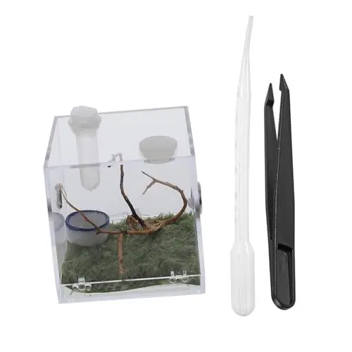 Produktbild: Yardwe 1 Set Springspinne Zuchtbox Vogelspinne Terrarium Stabheuschrecke Schildkröte Tank Insektengehege Tank Schlangenkäfig Springspinne Lebensraum Mini Luftbefeuchter Tier