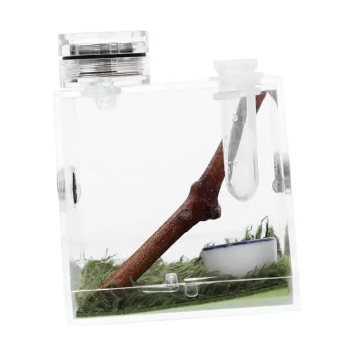 Produktbild: Yardwe 3er-Box Springspinnen-zuchtbox Gecko-lebensraum Verstecken Tarantel Tank Vogelspinnengehege Springender Spinnenlebensraum Mini-tierwächter Springspinnen-Terrarium Dekor Mikro Acryl