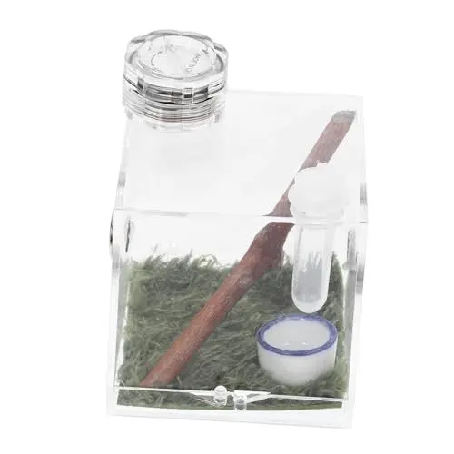 Produktbild: Yardwe Kasten Springspinnen-zuchtbox Käfig Tarantel Mini-tierwächter Reptil Nebelgerät Bausatz Springspinnengehege Zubehör Mikrolebensraum Der Spinne Haustierzaun Gehäuse Holz