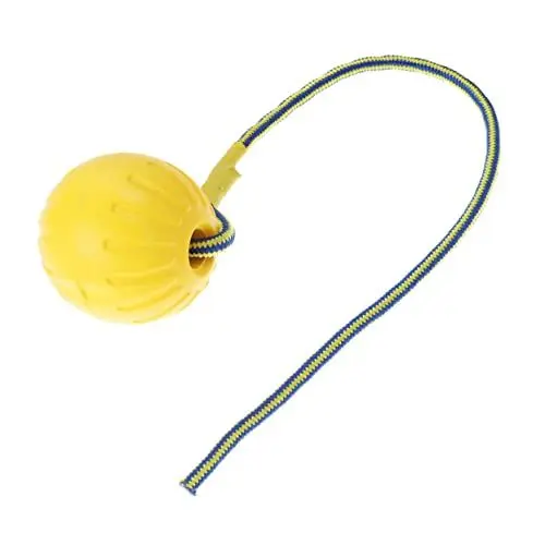 Produktbild: YARNOW 2st Hundewerfer Werfer Interaktives Lernspielzeug Ballspielzeug Für Hunde Seil Ball Hundespielzeug Haustier-trainingsspielzeug Hund Am Seil Puzzle-Spielzeug Bissfest Frisbeescheibe