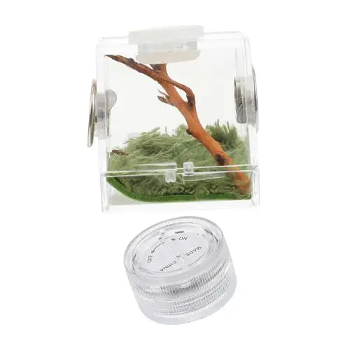 Produktbild: YARNOW Gehege Für Springspinnen Mit Zubehör Winziges Gehege Spinnenhabitat Box Haustierbox