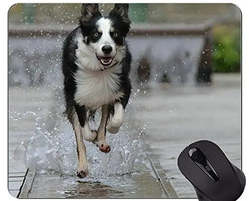 Produktbild: Animals Shepherd Dog - Mauspad mit Aufdruck, Border Collie-Mauspads