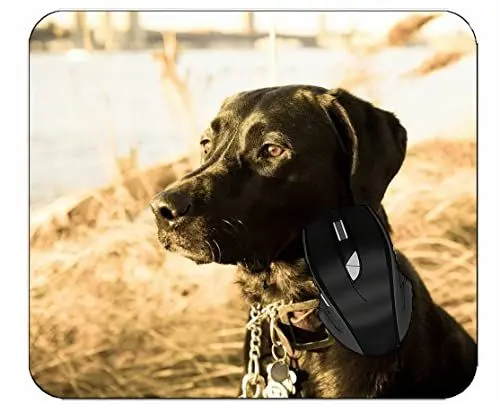Produktbild: YENDOSTEEN Anti-Fray-Stoff-Gaming-Maus-Pad, Tiere Hunde Holzoberfläche Mauspad mit genähter Kante 300x250x3 mm