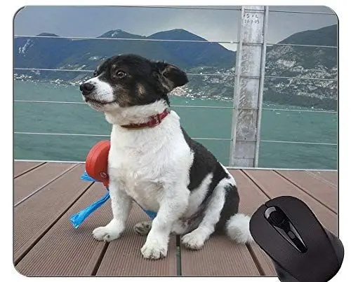 Produktbild: Australischer Schäferhund Mousepad, Hundepersonalisiertes Rechteck-Spiel Mousepads