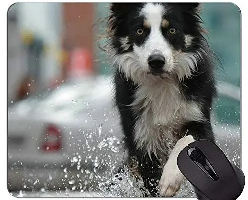 Produktbild: YENDOSTEEN Drucken Sie mit der Mausunterlage des Schäferhund-Hundes, Border-Collie-Mausunterlagen