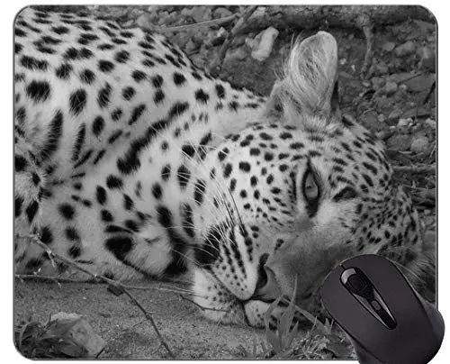 Produktbild: YENDOSTEEN Gaming-Mauspad, Leopard Leopard-Mauspad mit angenähtem Rand