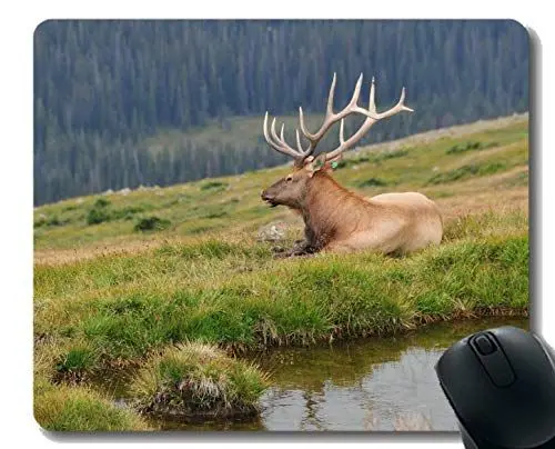 Produktbild: Gaming Mouse Pad Design, Deer, Rocky Mountains, USA - Genähte Kanten