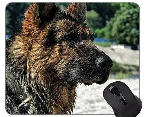 Produktbild: Gaming Mouse Pad Porträt eines australischen Schäferhundes, Schäferhund Rubber Mouse Pad