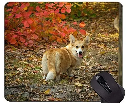 Produktbild: YENDOSTEEN Haustier-Liebhaber-Mausunterlage, Corgi-Mausunterlagen